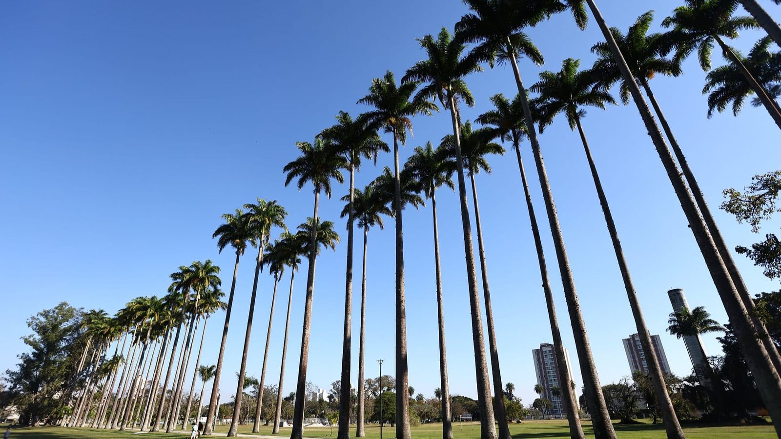 Área verde do Parque da Cidade Roberto Burle Marx, em São José dos Campos