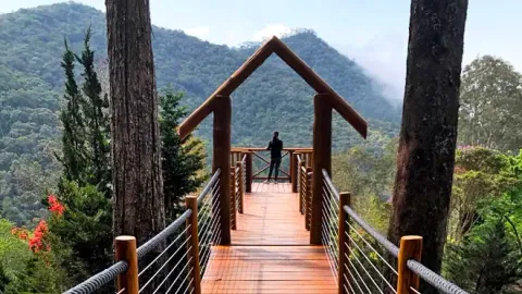 Passarela de madeira com portal sobre a mata e a serra, no Jardim dos Pinhais
