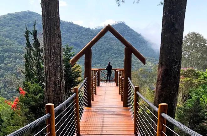 Passarela de madeira com portal sobre a mata e a serra, no Jardim dos Pinhais