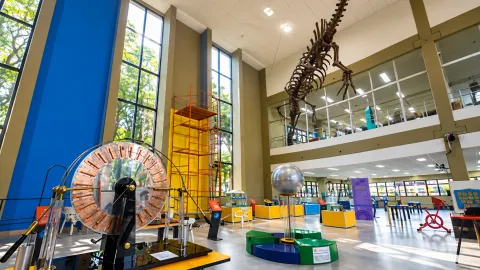 Capa provisória com o nome do Museu Interativo de Ciências