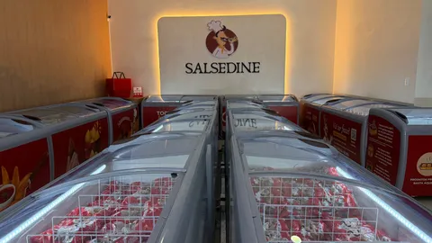 Salão da loja Salsedine com freezers de salgados congelados e o logo da marca na parede